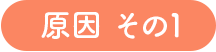 原因 その1