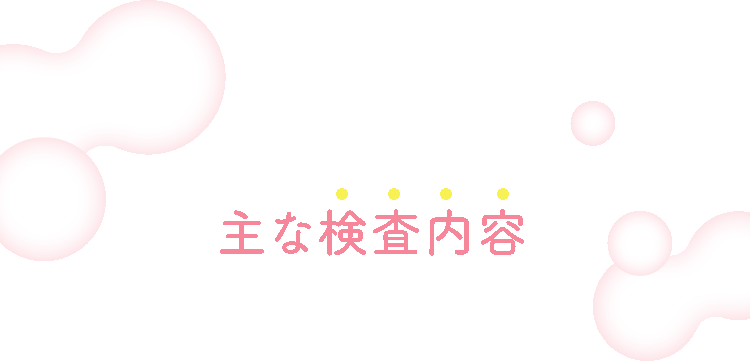 主な検査内容