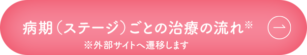 病期（ステージ）ごとの治療の流れ※