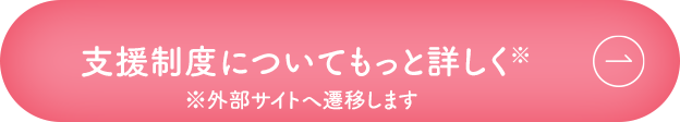 支援制度についてもっと詳しく※