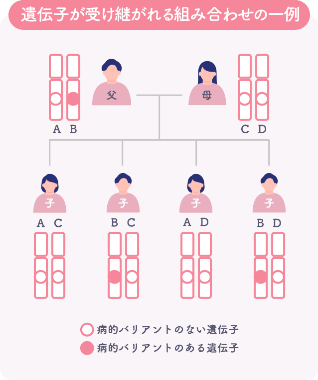 遺伝子が受け継がれる組み合わせの一例