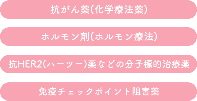 抗がん薬(化学療法薬)/ホルモン剤(ホルモン療法)/抗HER2(ハーツー)薬などの分子標的治療薬/免疫チェックポイント阻害薬