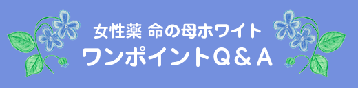 もう何もしたくない カラダがおもーい 生理前 生理中 命の母ホワイト ルナルナ 小林製薬