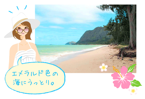 お店の写真 エメラルド色の海にうっとり