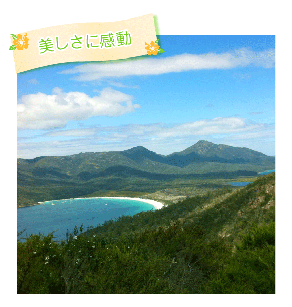 美しさに感動
