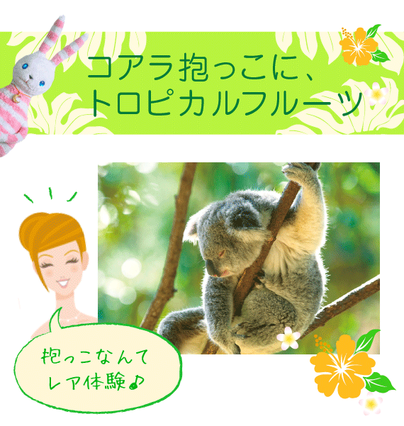 コアラ抱っこに、トロピカルフルーツ 抱っこなんてレア体験♪