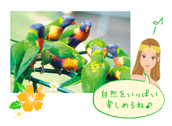 自然をいっぱい楽しめるね