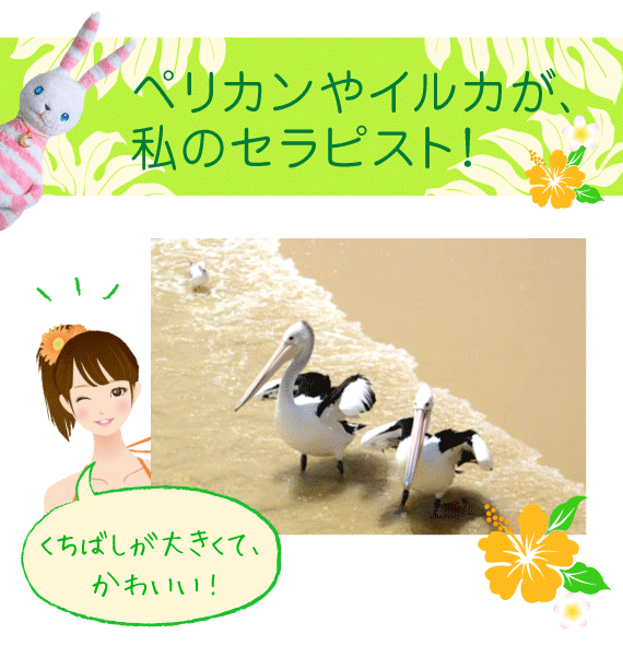 ペリカンやイルカが、私のセラピスト!