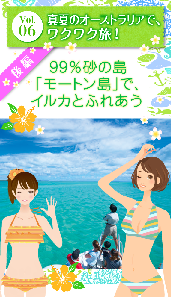 Vol.06 『真夏のオーストラリアでワクワク旅!』縲恁纒メ縲F 99%砂の島「モートン島」で、イルカとふれあう