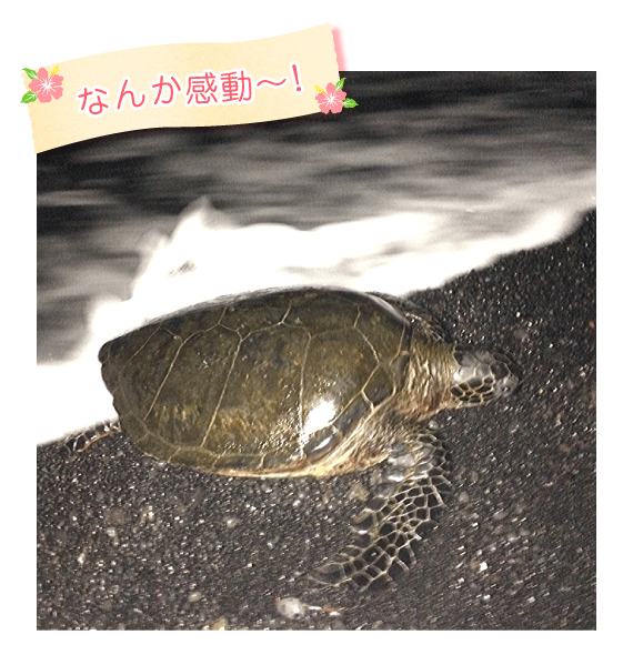 なんか感動〜!