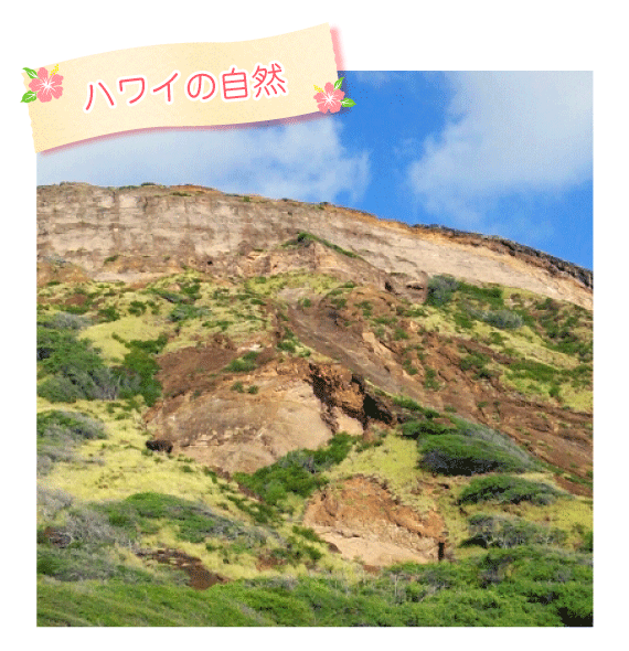 ハワイの自然