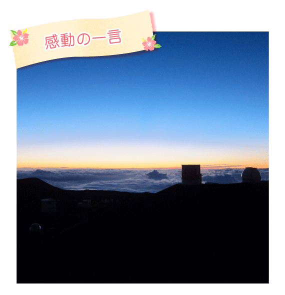 感動の一言