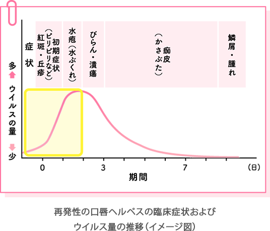 再発性の口唇ヘルペスの臨床症状およびウイルス量の推移（イメージ図）