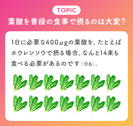 TOPIC 葉酸を普段の食事で摂るのは大変？